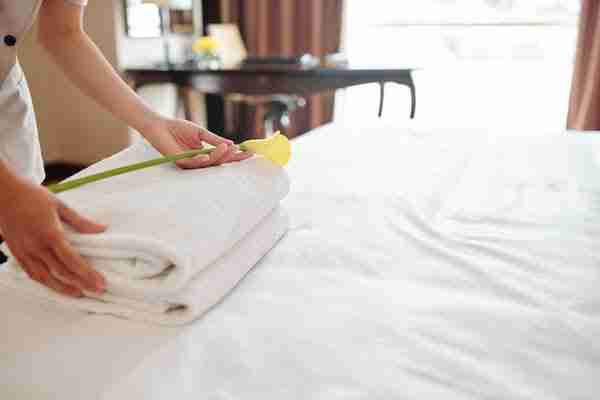 Análisis Y Ejecución De Los Procesos De Limpieza Y Puesta A Punto De Habitaciones Y Zonas Comunes En Alojamientos