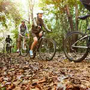 curso GUÍA POR ITINERARIOS EN BICICLETA