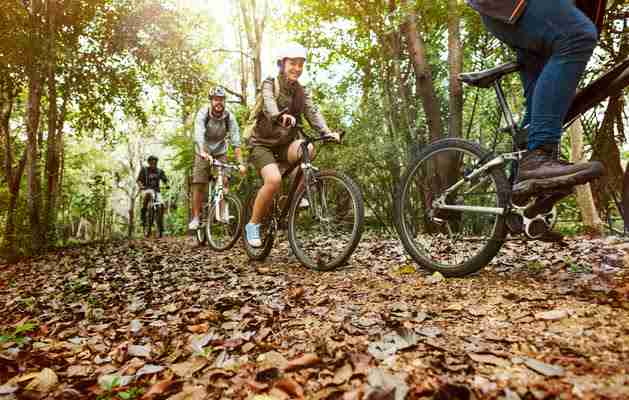 curso GUÍA POR ITINERARIOS EN BICICLETA